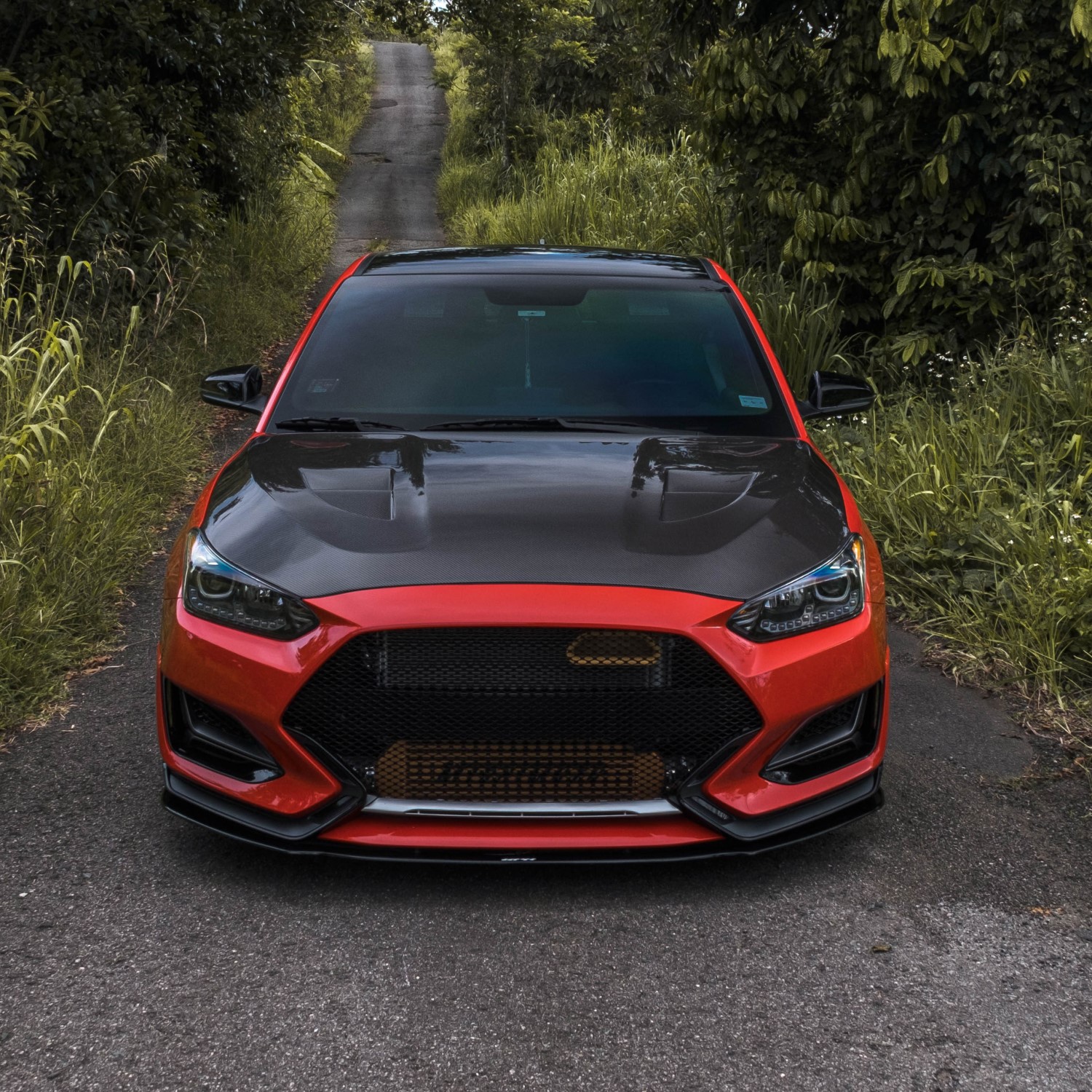 The Perfect Combo: Custom Mesh Grille and Carbon Fiber Hood for Your 2nd Gen Veloster