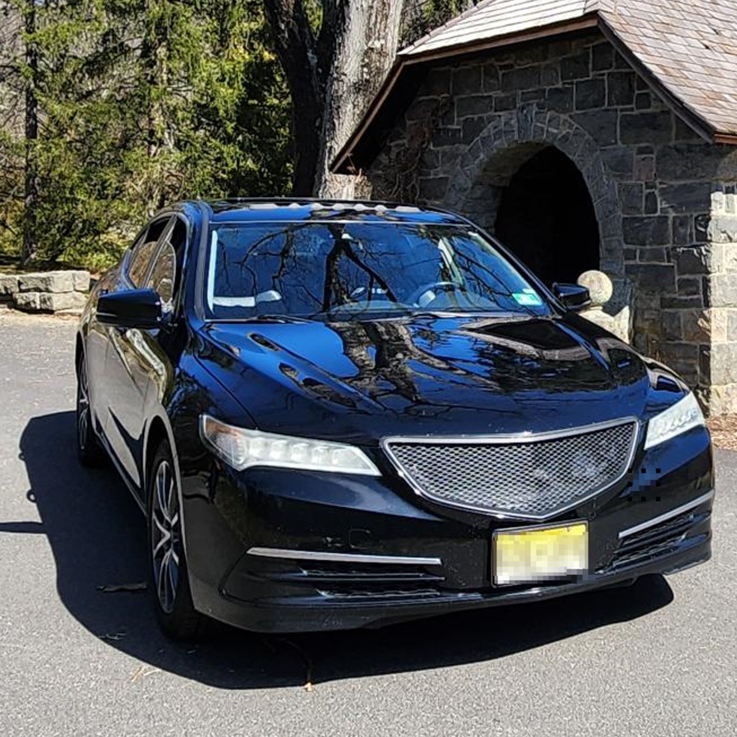 Redefining Acura TLX style with a custom grille and beak removal