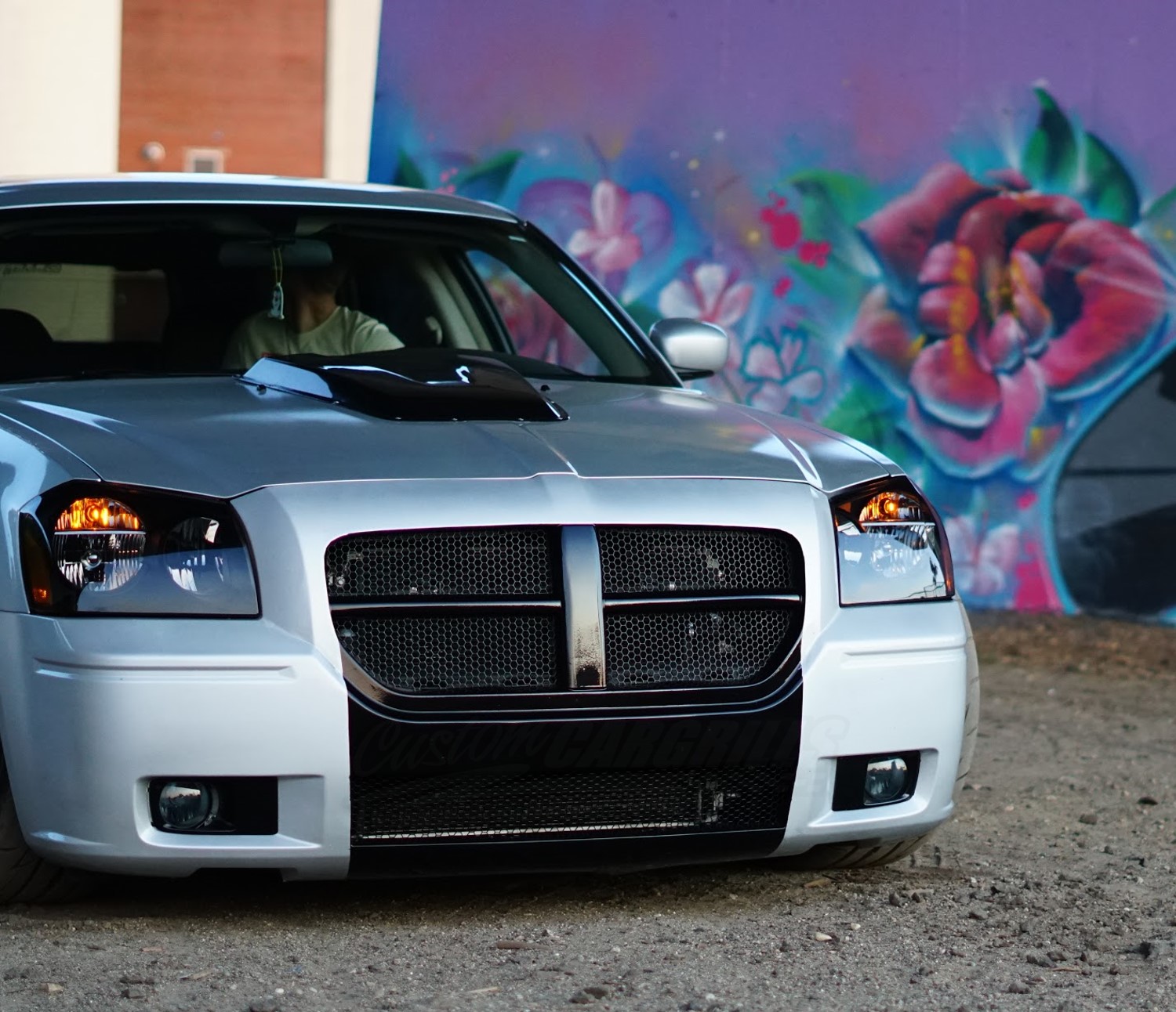 Large Hexagon Mesh Grille: A Must-Have for Your Customized Dodge Magnum