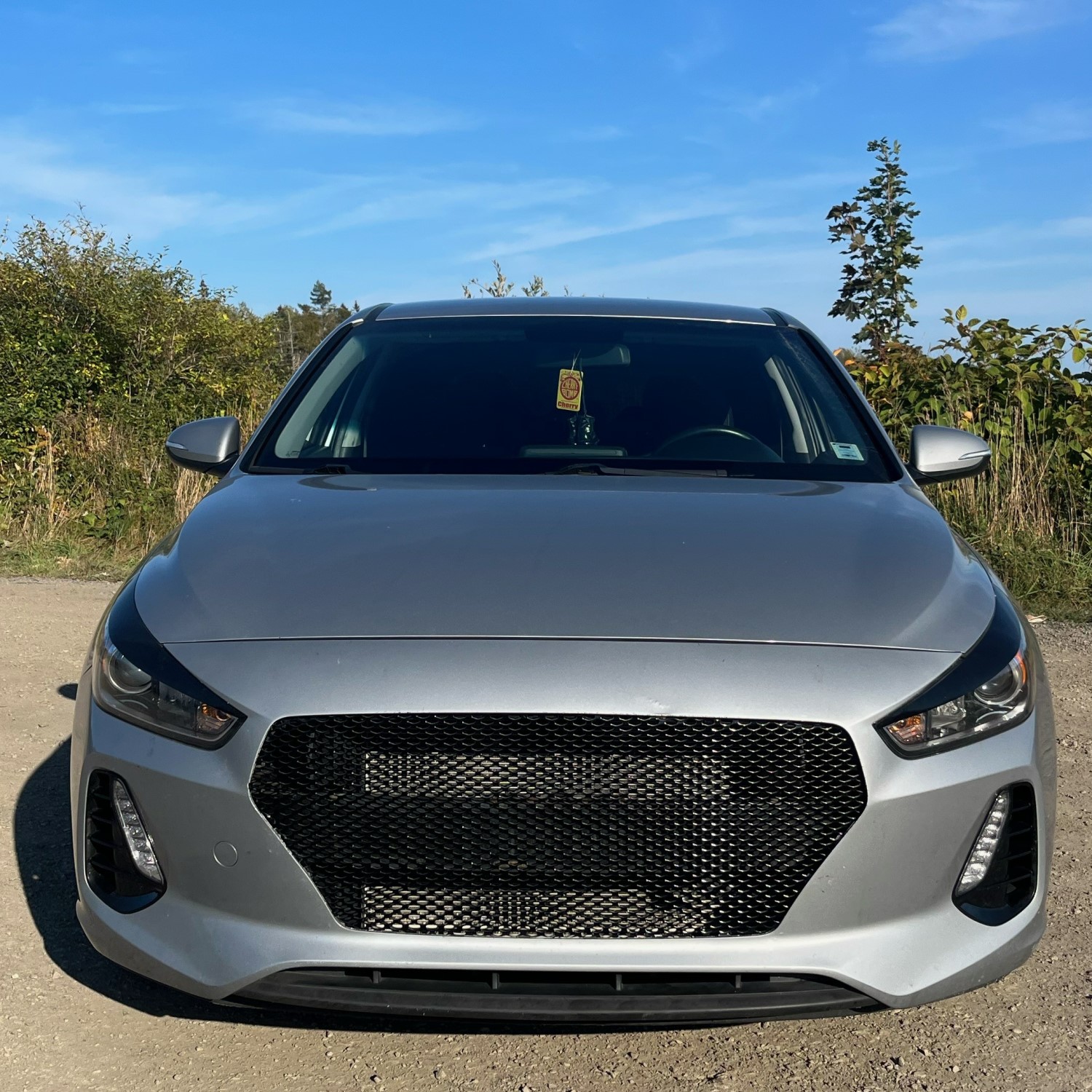 Fresh Install and Fresh Look After Hyundai Elantra GT Grille Mesh Install